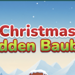 Christmas Hidden Bauble